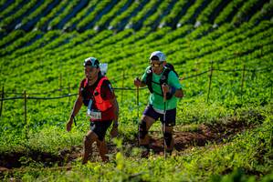 BIB: 
                            <button type="button" onclick="openModal(19160525)" class="btn btn-primary btn-sm float-right btn-popup" data-toggle="modal" data-target=".modal-high-quality">
                        <i class="fas fa-shopping-cart"></i> Add to Cart
                    </button>
                                            <button type="button" onclick="isThisMe(19160525, true)" class="btn btn-success btn-sm float-right btn-popup btn-isme hidden" data-toggle="tooltip" data-placement="bottom" title="นี่คือรูปของคุณใช่ไหม คลิกที่นี่เพื่อเอาเข้าอัลบั้ม">
                        <i class="fas fa-plus"></i> Add to album
                    </button>
                    <button type="button" onclick="isThisMe(19160525, false)" class="btn btn-warning btn-sm float-right btn-popup btn-isnotme hidden">
                        <i class="fas fa-ban"></i> Remove from album
                    </button>